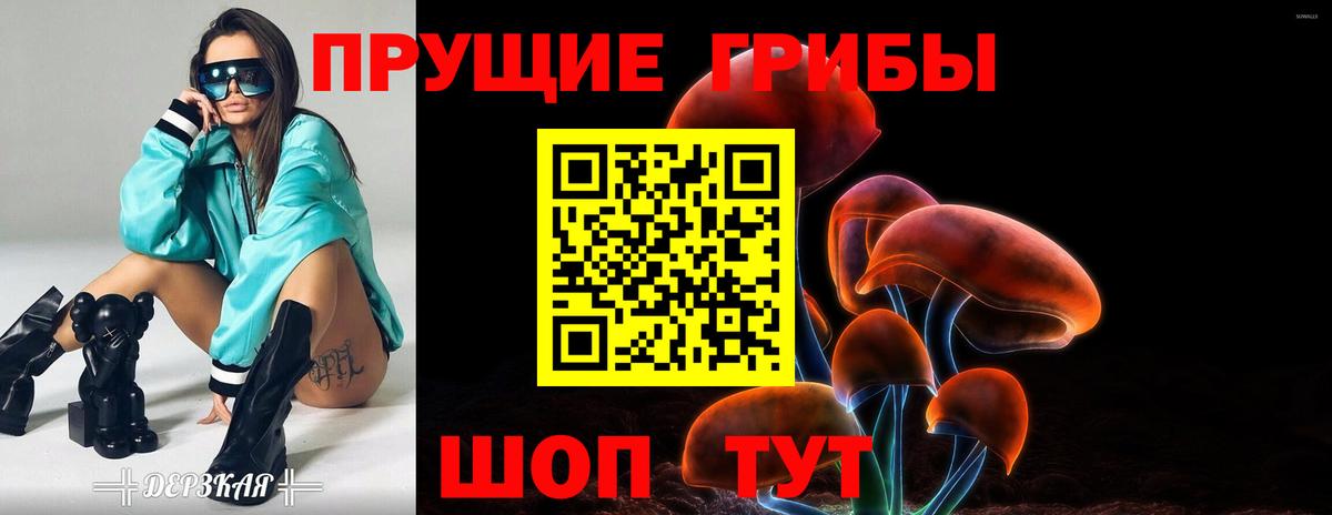 Галлюциногенные грибы мицелий Тосно